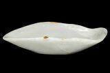 Polished Onyx (Aragonite) Decorative Bowl - Morocco #251137-2